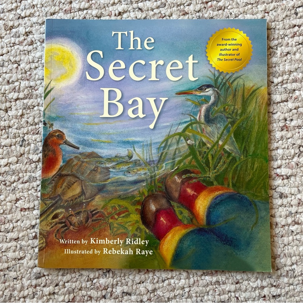 The Secret Bay by Kimberly Ridley